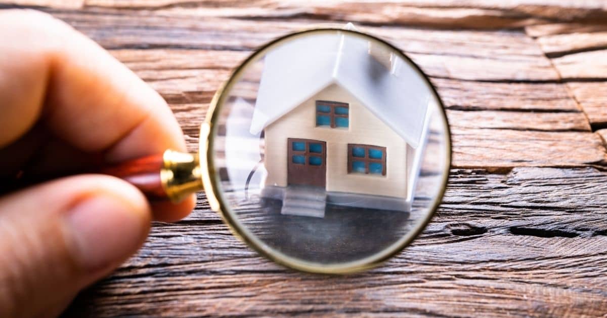 Real Estate Climate Risk Reporting Support in BPO