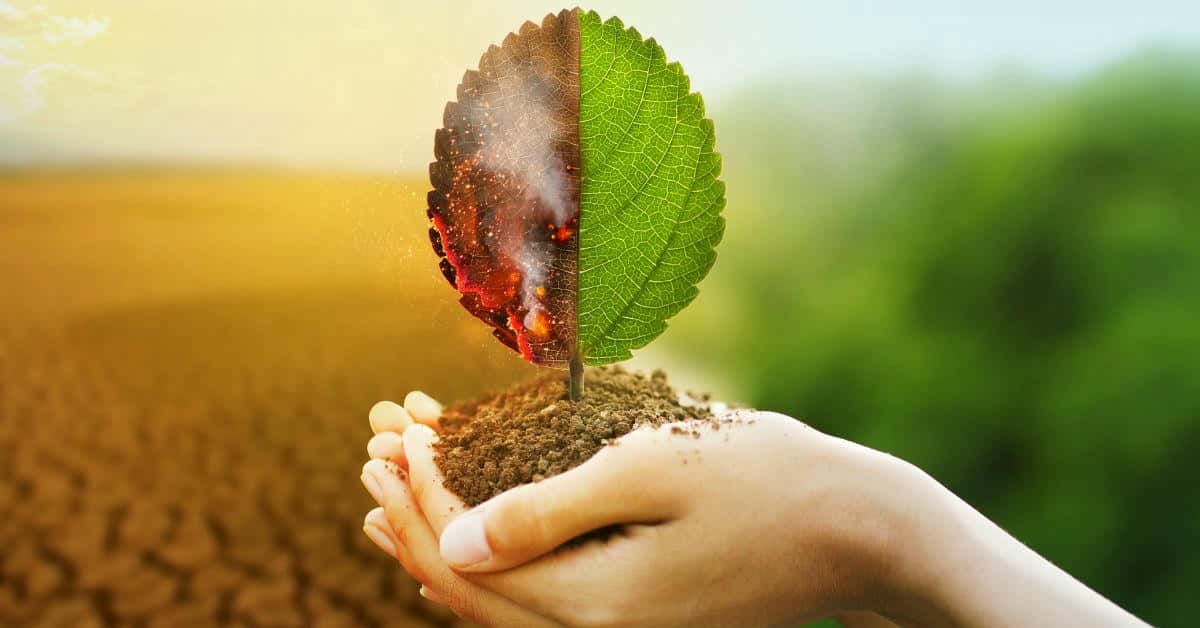 Outbound Climate Action Pledge Follow-up Support in BPO